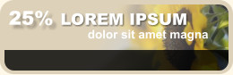 25% LOREM IPSUM dolor sit amet magna