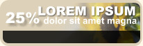 25% LOREM IPSUM dolor sit amet magna